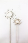 Sticks -daisy