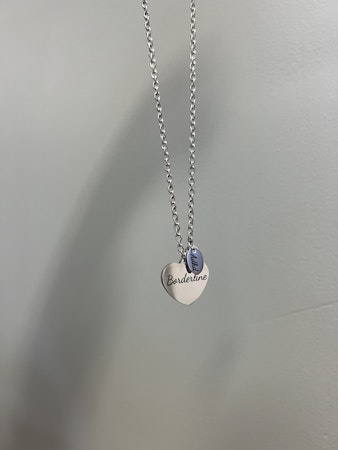 Halsband: hjärta med mindre oval (rostfritt stål)