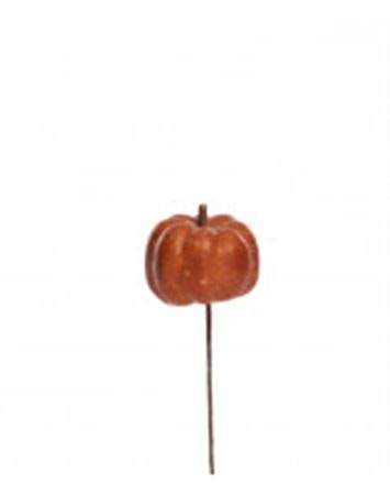 Sticks: orange pumpa