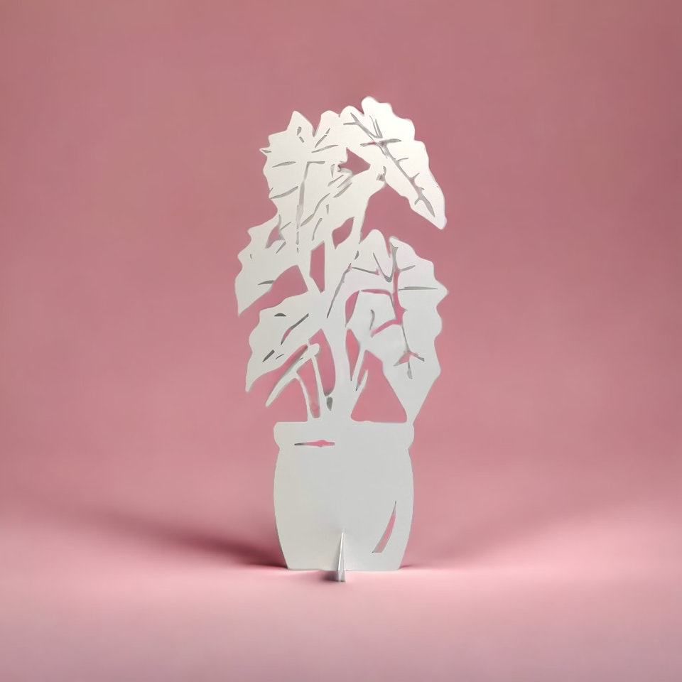 Älska plåt: skelettblomma