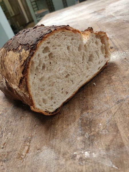 Norrländsk vetesur (limpa)