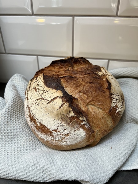 Norrländsk vetesur (limpa)