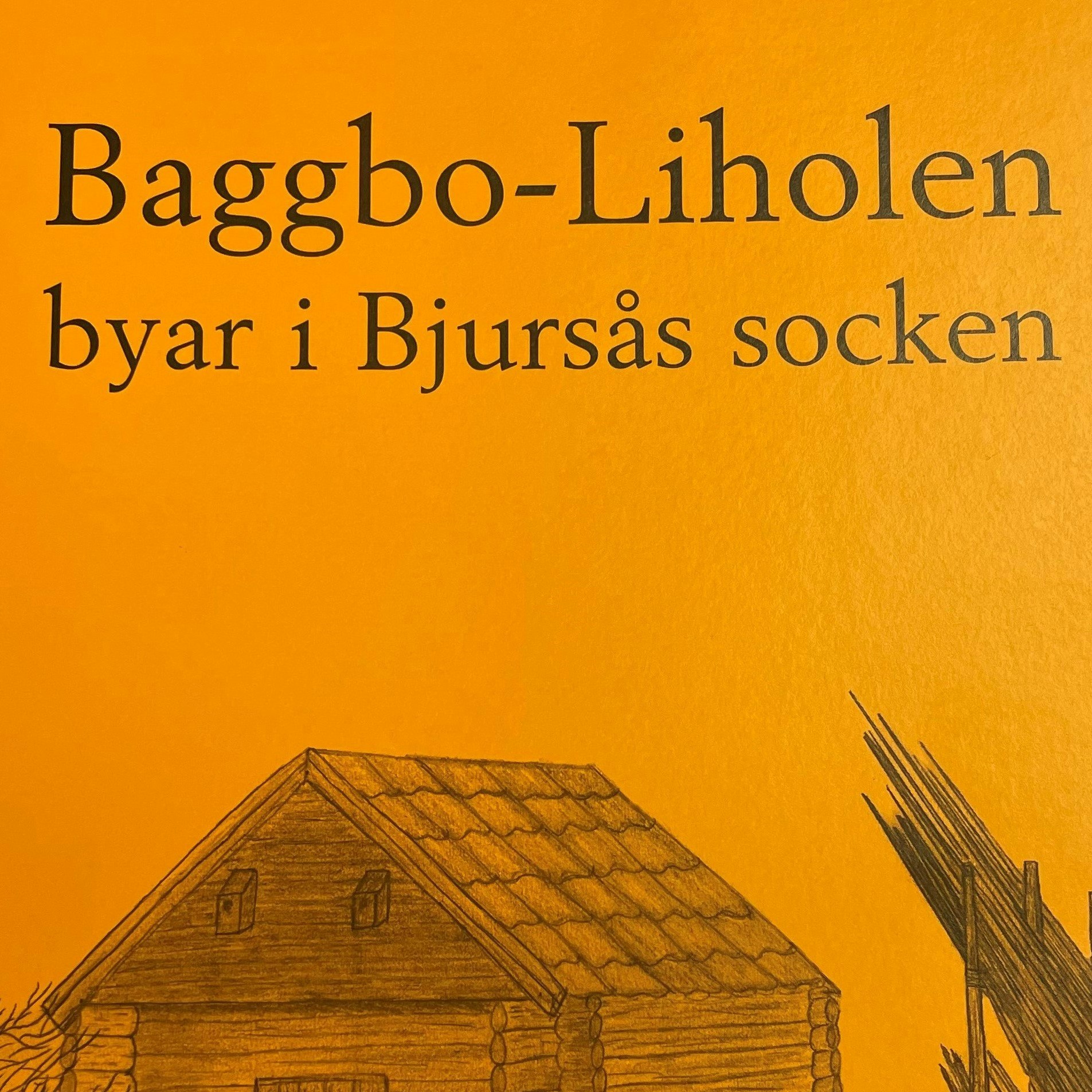 Byboken Baggbo- Liholen