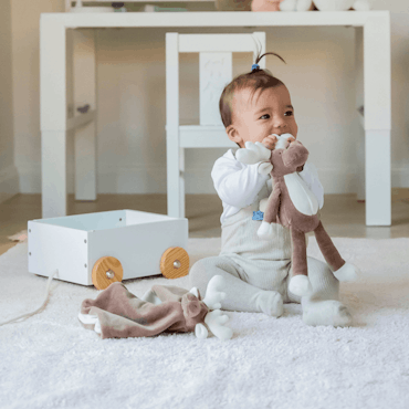 Snuttefilt - Diinglisar Organic, Älg - MED broderat namn