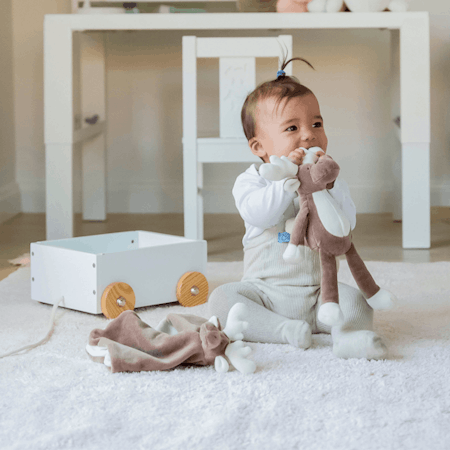 Snuttefilt - Diinglisar Organic, Älg - MED broderat namn