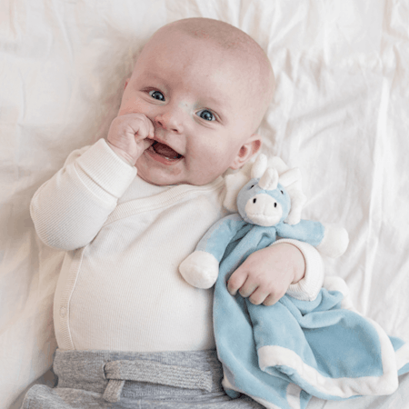 Snuttefilt - Diinglisar, Dino, Teal - MED broderat namn