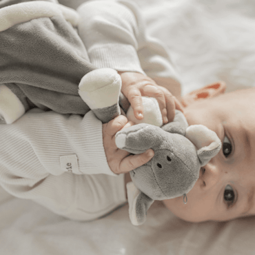Snuttefilt Diinglis Elefant - MED broderat namn