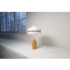 Mid-Century Modern Table Lamp in Pine and Acrylic, Sweden, 1970s