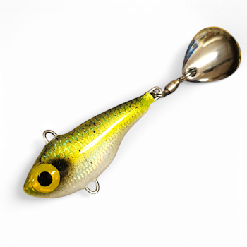 Spintail - Nors