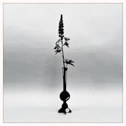 Lupin svart 47 cm