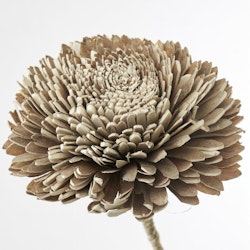 Flore Zinnia 15x15x70