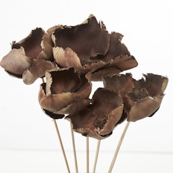 Flore Palm 5-pack