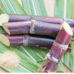 Fresh Sugarcane 400-500gm