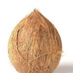 Fresh Coconut without Husk 1pc