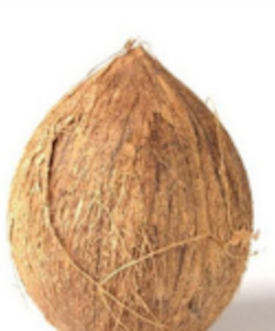 Fresh Coconut without Husk 1pc