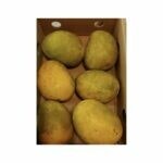 Fresh Kesar Indian Mango (small) 6st - Box