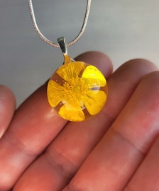 Smörblomma
