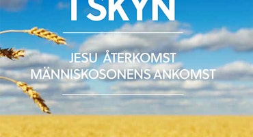 Redo för mötet i Skyn - Dan Johansson