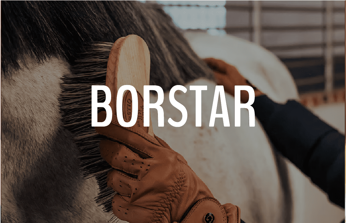 BORSTAR - Furion Equestrian