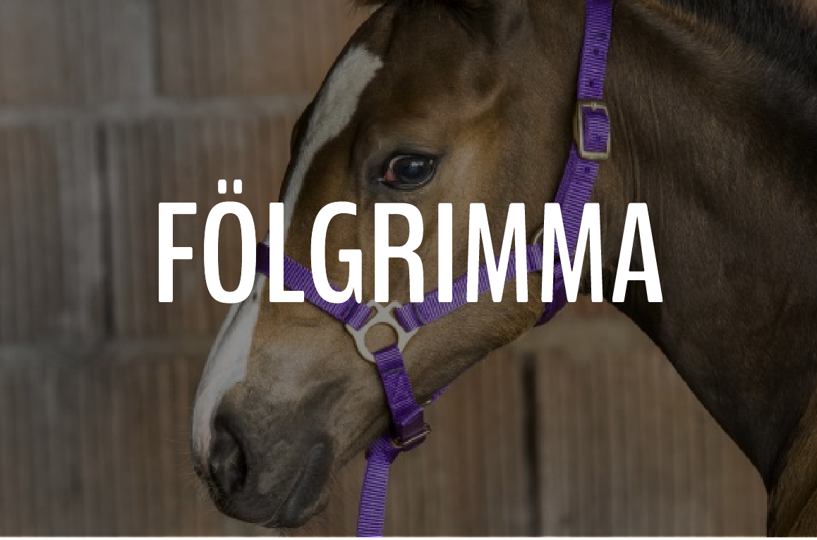 FÖLGRIMMOR - Furion Equestrian