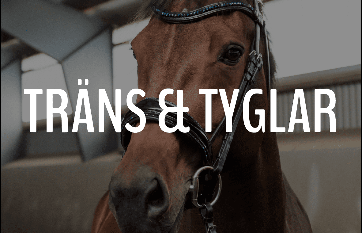 TRÄNS - Furion Equestrian