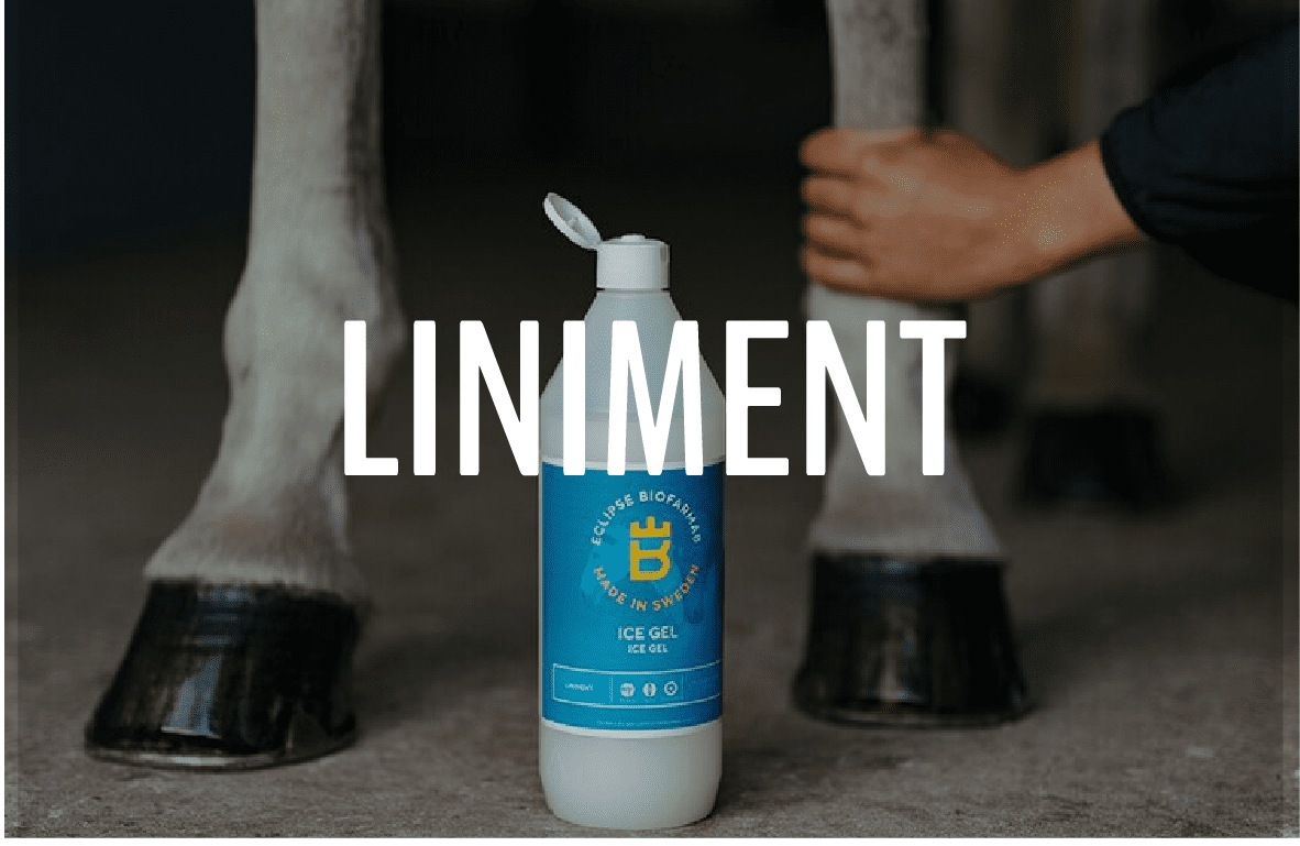 LINIMENT - Furion Equestrian