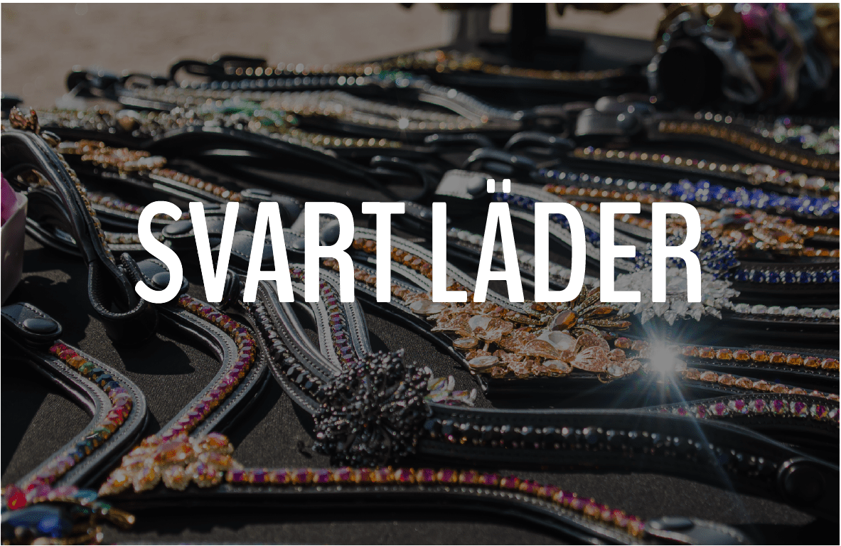 SVART LÄDER - Furion Equestrian