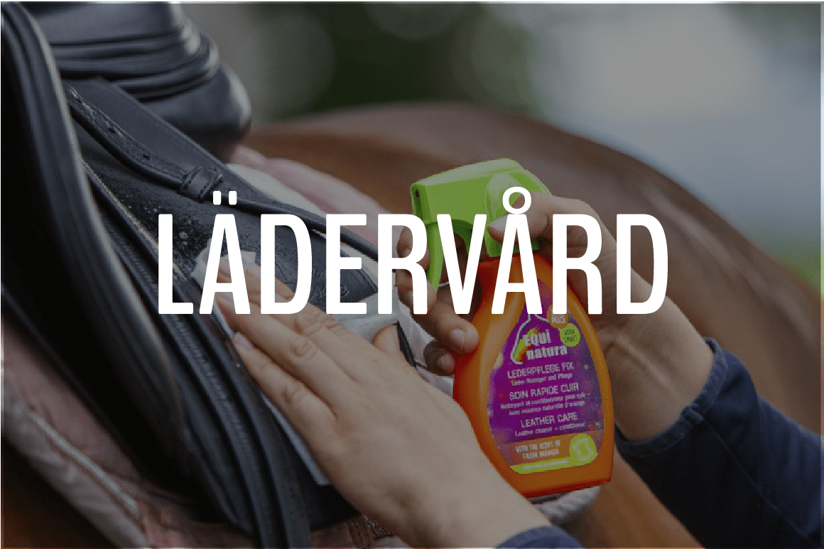 LÄDERVÅRD - Furion Equestrian