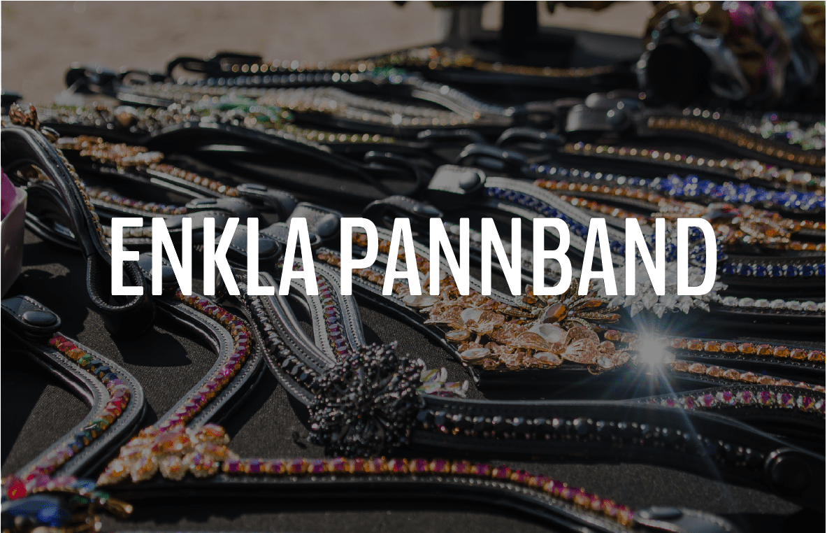ENKLA PANNBAND - Furion Equestrian