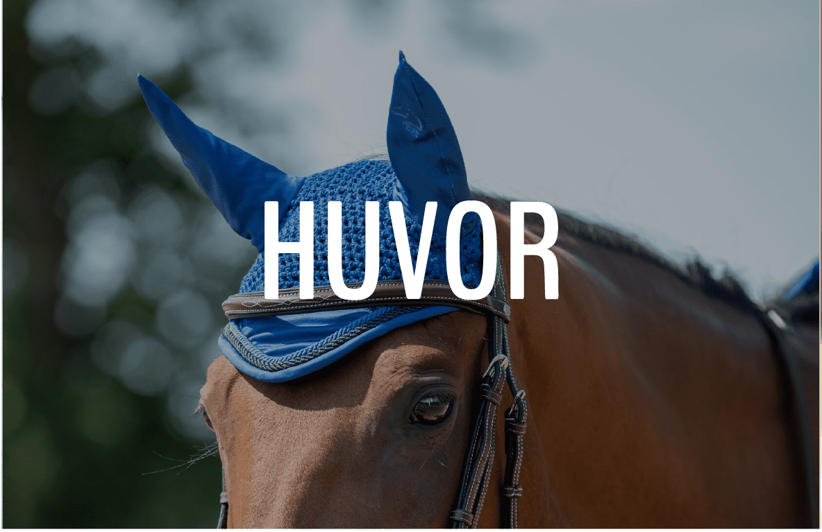 HUVOR - Furion Equestrian