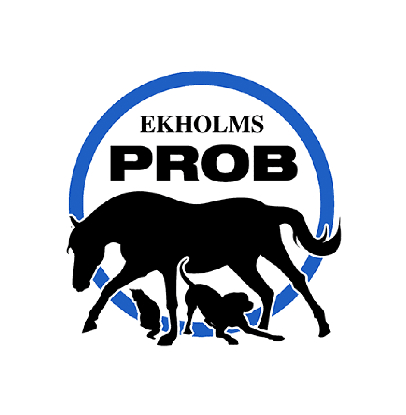 EKHOLMS PROB - Furion Equestrian