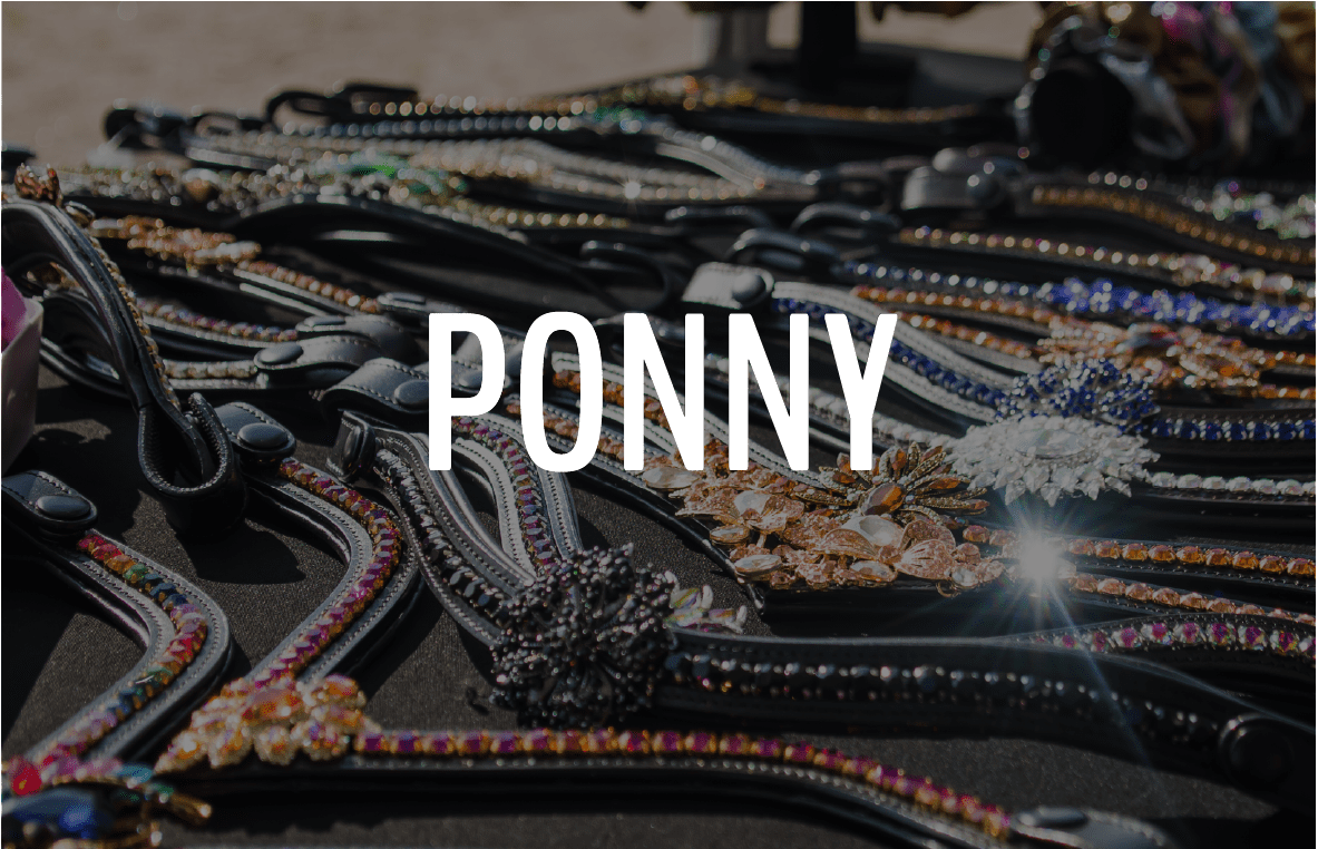 PONNY - Furion Equestrian