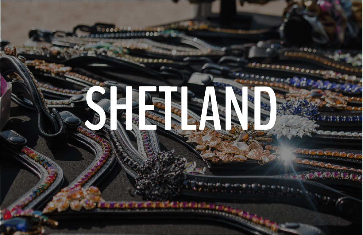 SHETLAND - Furion Equestrian
