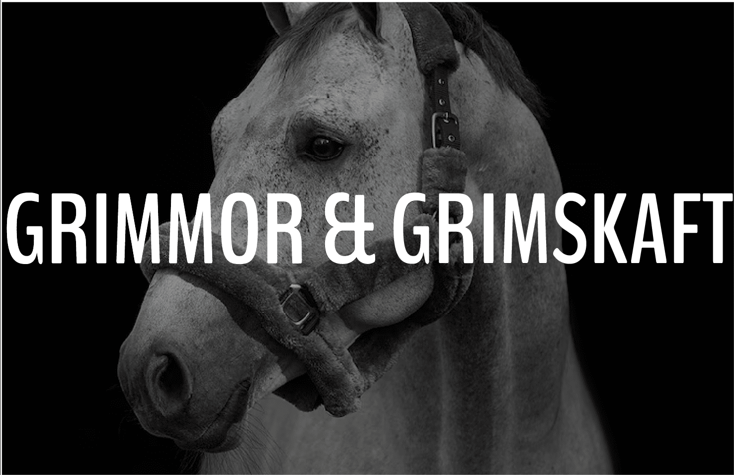 GRIMMOR & GRIMSKAFT - Furion Equestrian