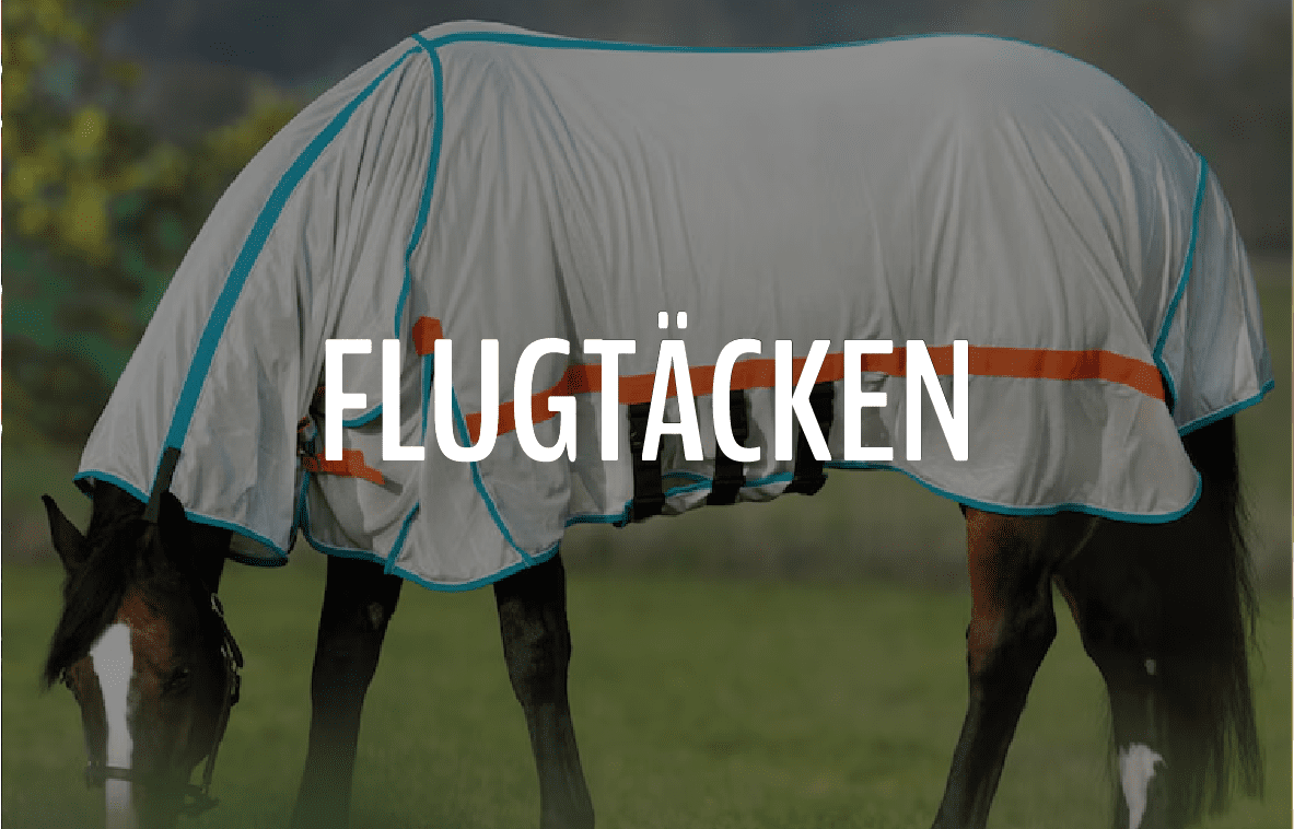 FLUGTÄCKEN - Furion Equestrian