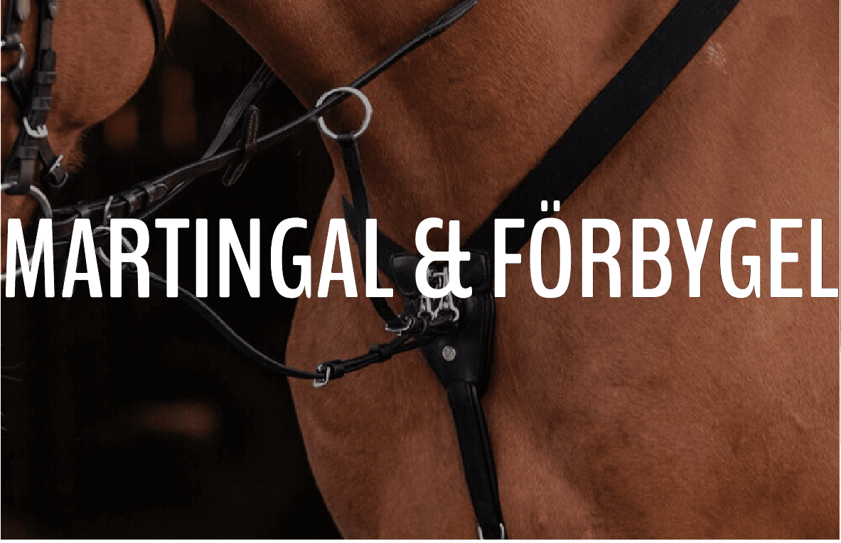 MARTINGAL & FÖRBYGEL - Furion Equestrian