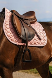 SCHABRAK | Rosa Allround Full