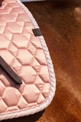 SCHABRAK | Rosa Allround Full