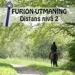 FURION-UTMANING | distans (nivå 2)