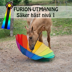 EFTERANMÄLAN! FURION-UTMANING | säker häst (nivå 1)