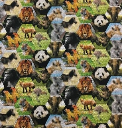 Animals Bomullsjersey