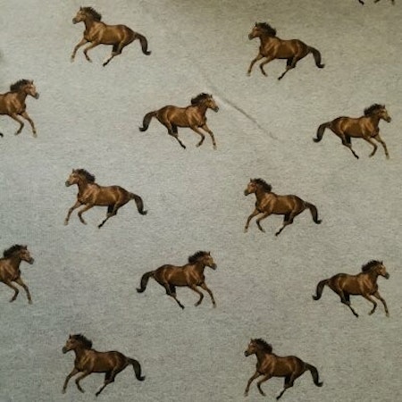 Hästar Jogging flossad