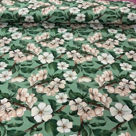 Körsbärsblomma bomullsjersey