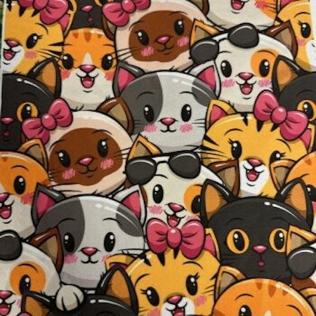 FÖRHANDSBOKNING - Busiga katter, canvas