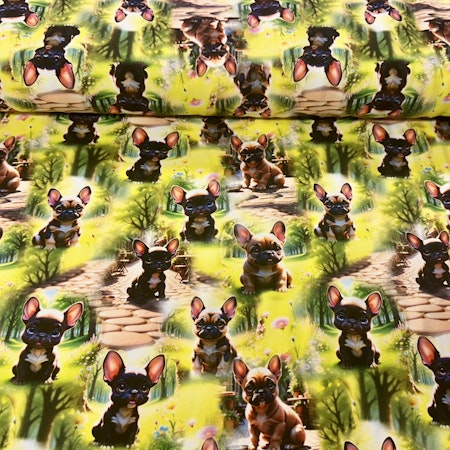 Fransk bulldog, bomullsjersey