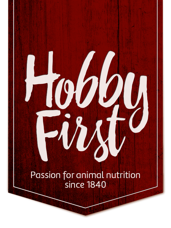 Hobby First - Bratells Ridsport