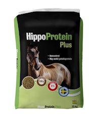 Hippo protein Plus