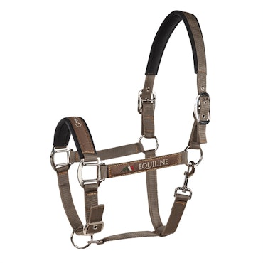 Equiline Nylongrimma Timmy