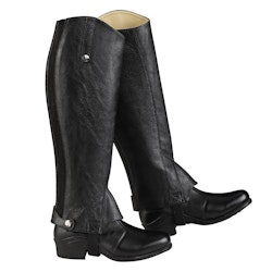 Horselife Shortchaps