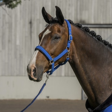 HORKA Equestrian PRO Grimma & Grimskaft